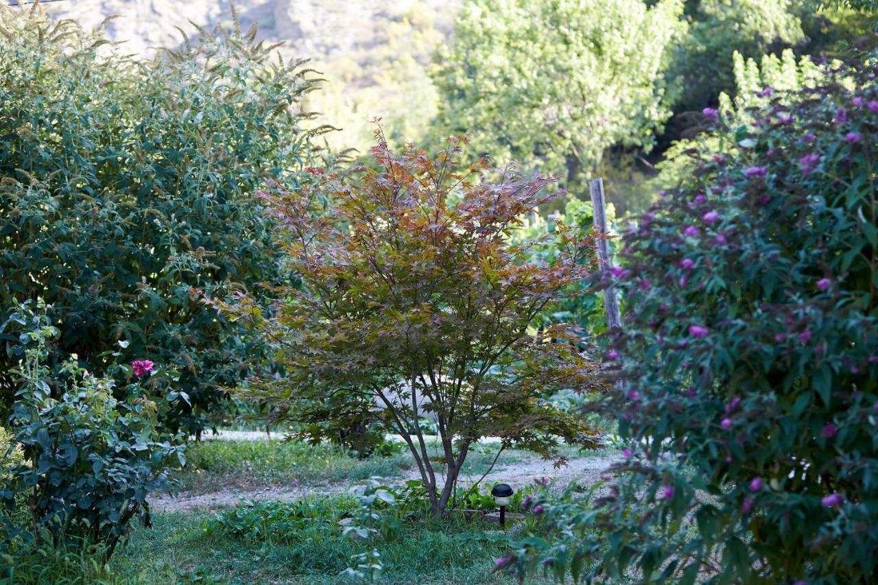 Nika Vacheishvili's guest house Didi Ateni Exterior foto